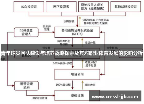 青年球员团队建设与培养战略探索及其对职业体育发展的影响分析