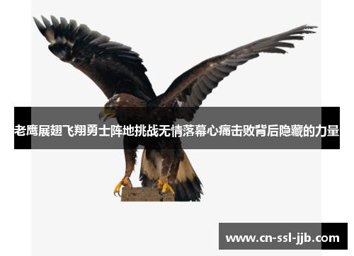 老鹰展翅飞翔勇士阵地挑战无情落幕心痛击败背后隐藏的力量 老鹰展翅飞翔勇士阵地挑战无情落幕心痛击败背后隐藏的力量