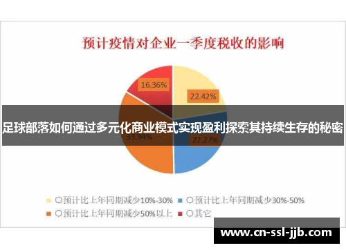 足球部落如何通过多元化商业模式实现盈利探索其持续生存的秘密