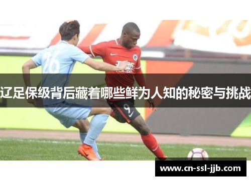辽足保级背后藏着哪些鲜为人知的秘密与挑战