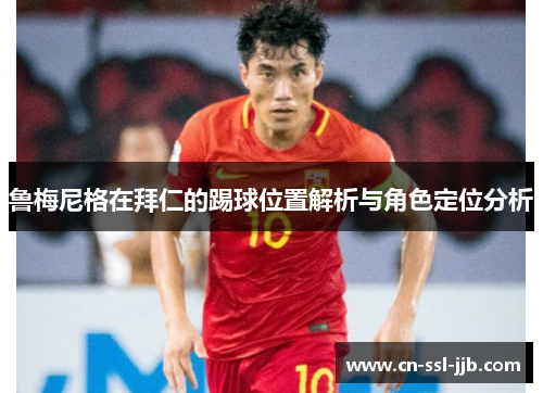 鲁梅尼格在拜仁的踢球位置解析与角色定位分析