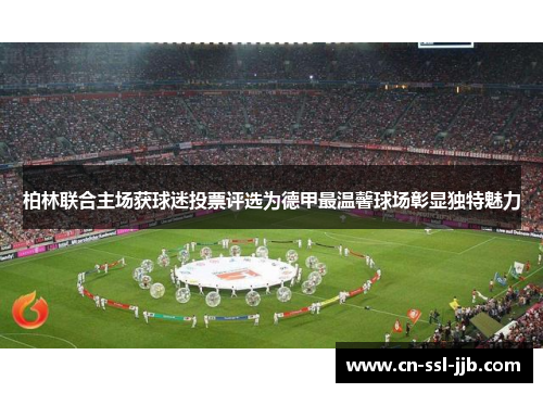 柏林联合主场获球迷投票评选为德甲最温馨球场彰显独特魅力
